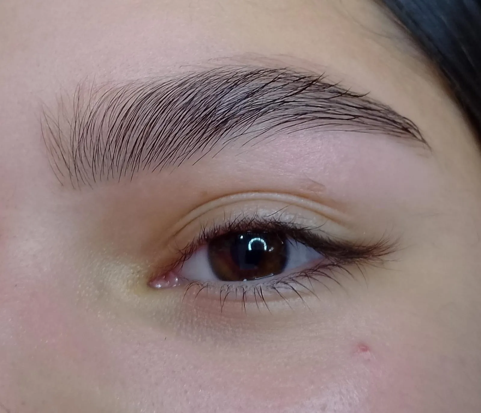 Diseño de cejas